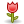 rose icon